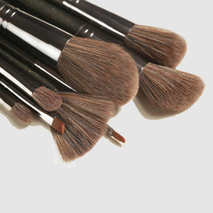 DIAS 10 pcs makeup brush set